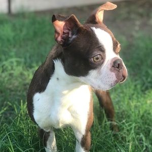 Meet your Posher, Kelli